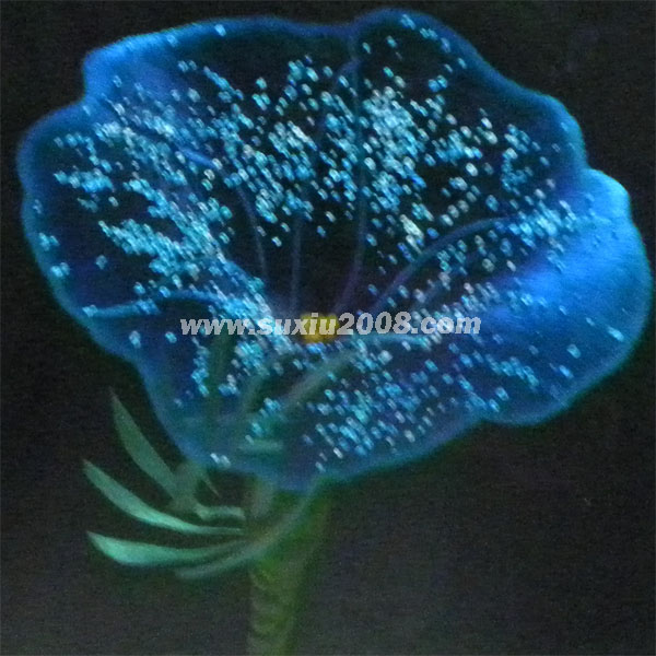 苏绣成品玻璃花